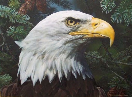 Reproductions of Carl Brenders Paintings Fir and Feathers Reproductions of Carl Brenders Paintings Fir and Feathers